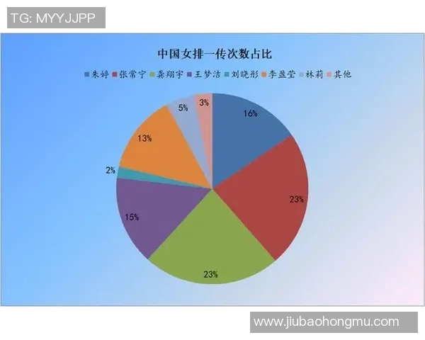 上海排球队进攻策略解析深度剖析排球战术与团队配合技巧