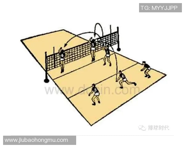 排球战术深度解析:上海排球队的成功之道与背后策略揭秘 排球战术深度解析:上海排球队的成功之道与背后策略揭秘