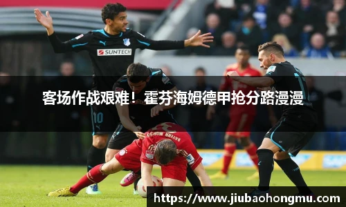 乐发Vlll