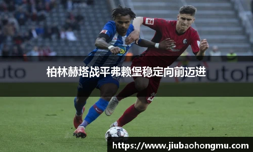 乐发V