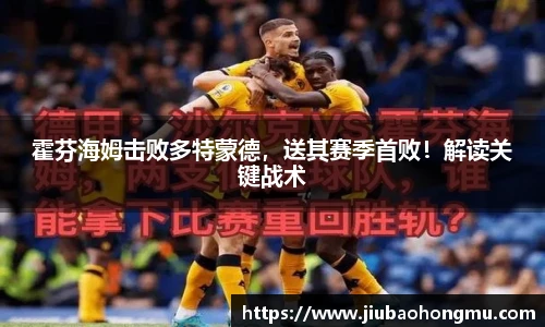 乐发Vl