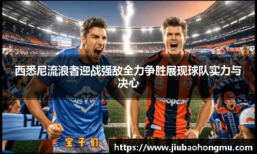 乐发V